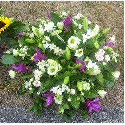 Sympathy 7 - Prices start from £55.00